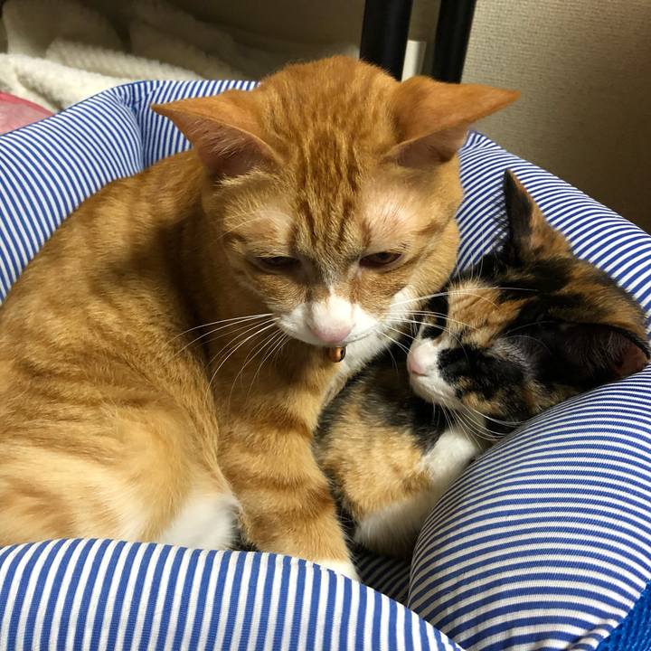 B7a0e5a4 63ec 43ad a574 6a65166dd850 1565330390199