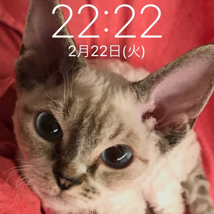 B7a0e8b3 028c 4950 88fc 0715e786bb6d 1645536377873