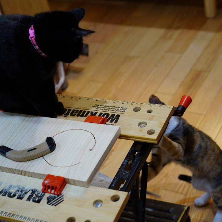 B7a0f429 bb76 4b75 906f 8adee9ed7a0b 1575244553628