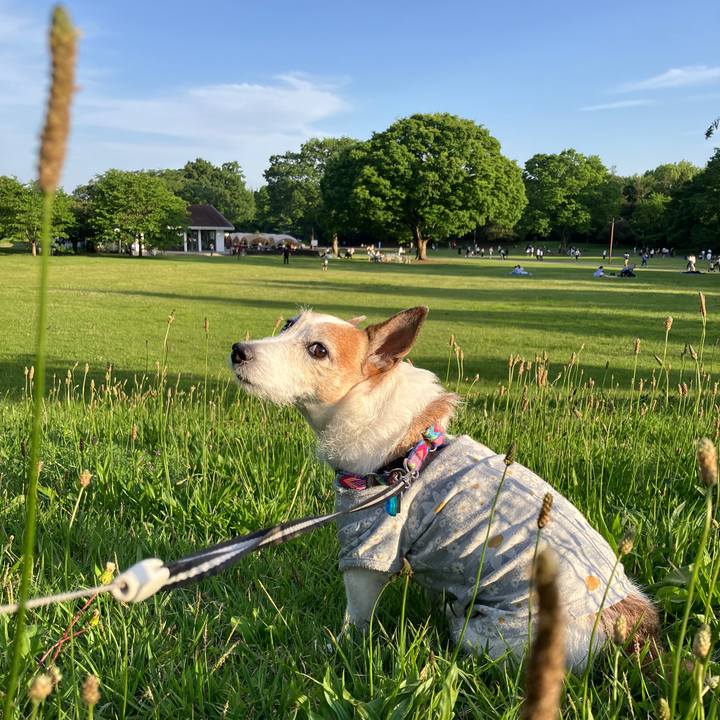 B7a100aa 4df7 4768 befc 928bd5a73cf7 1715037540769