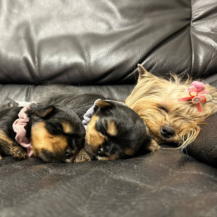 B7a1382e fe53 48ec a177 df4d9f22031d 1706701552638