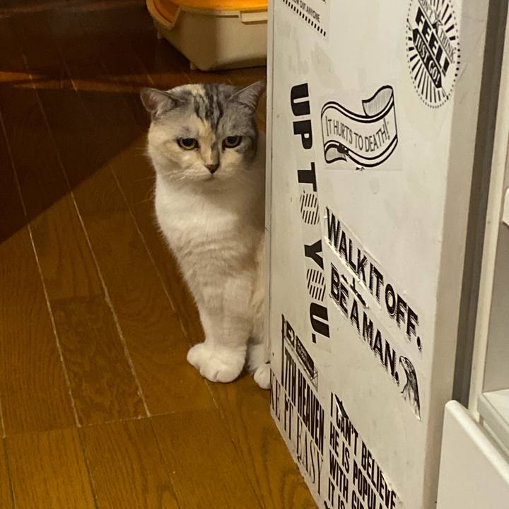 B7a1a5cf a632 411c 8b9d b8db70a00a8e 1658677774938