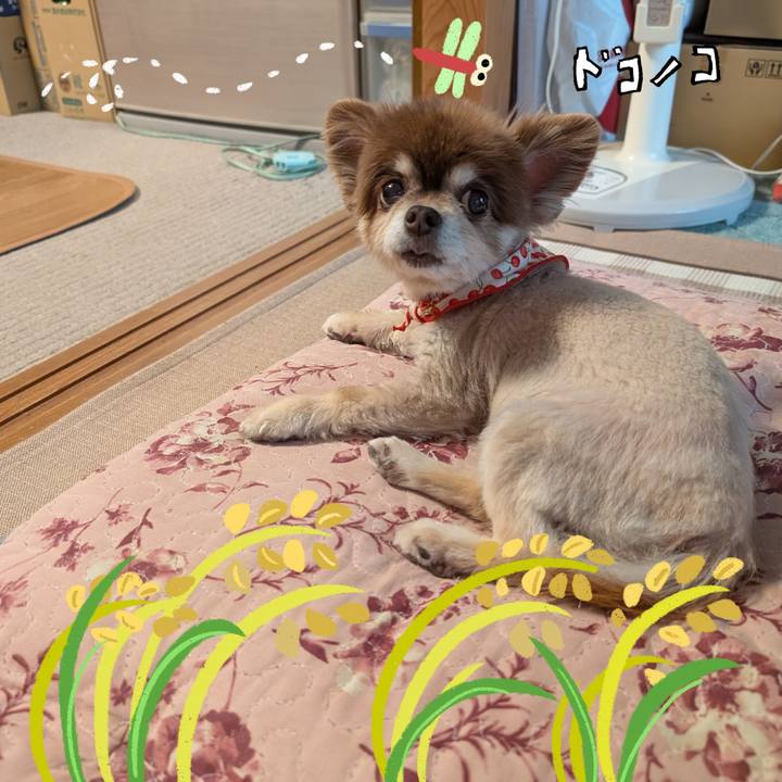 B7a1baa7 dfee 47a8 91fe 48800041e7f2 1761178783578