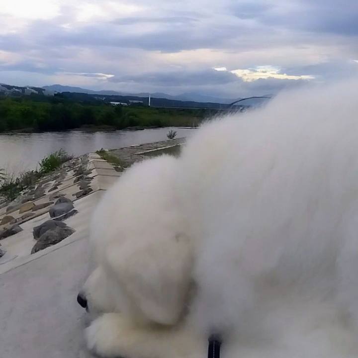 B7a1d01b fd3a 4223 92c8 1d08352e9bc6 1688264085321