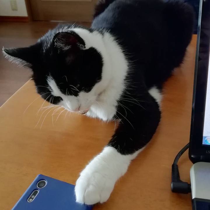 B7a21bfc 6f5f 4029 8864 8994faa5ba09 1564554314239