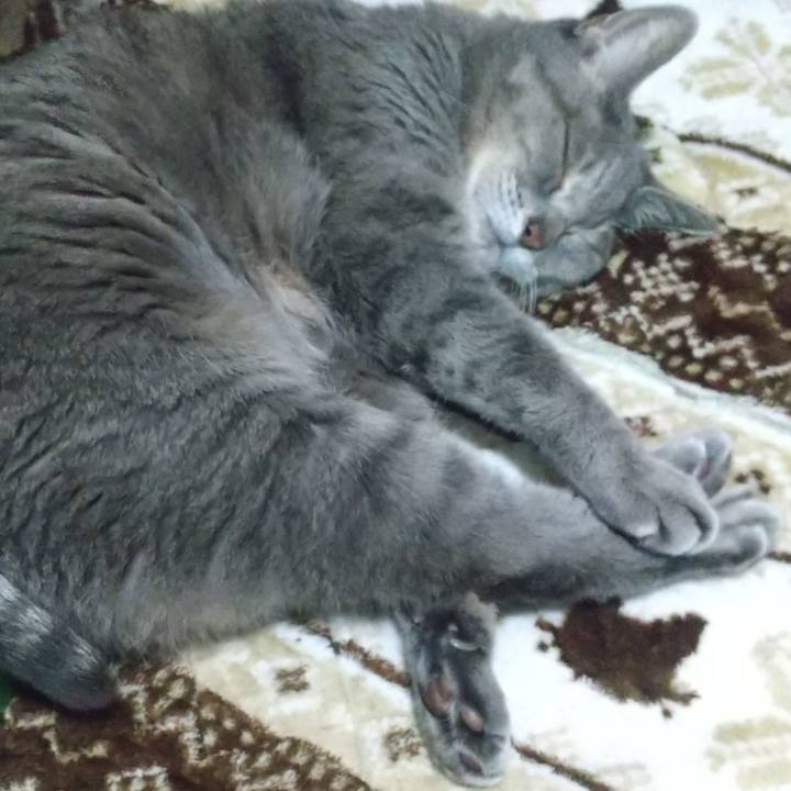 B7a21cd2 5c23 4076 8ae1 9e125c98d934 1669293066355