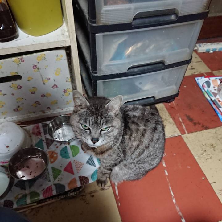 B7a253e5 9dfc 43a8 8d33 d22a35e68307 1589487178829