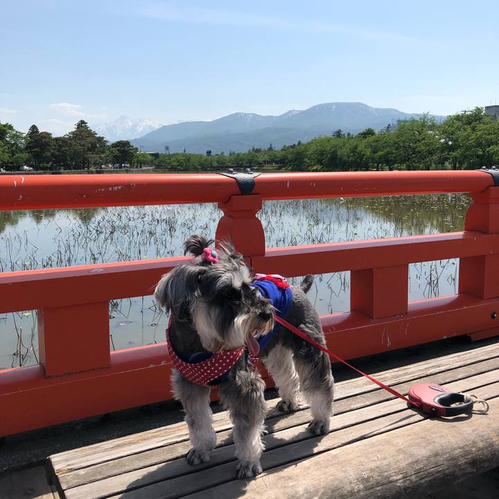 B7a27af9 1af9 487e bd3d bc99a49c57df 1558353514366