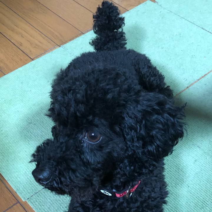 B7a27bc5 e34a 418f 9c7b 5c1a05bac954 1556946380143