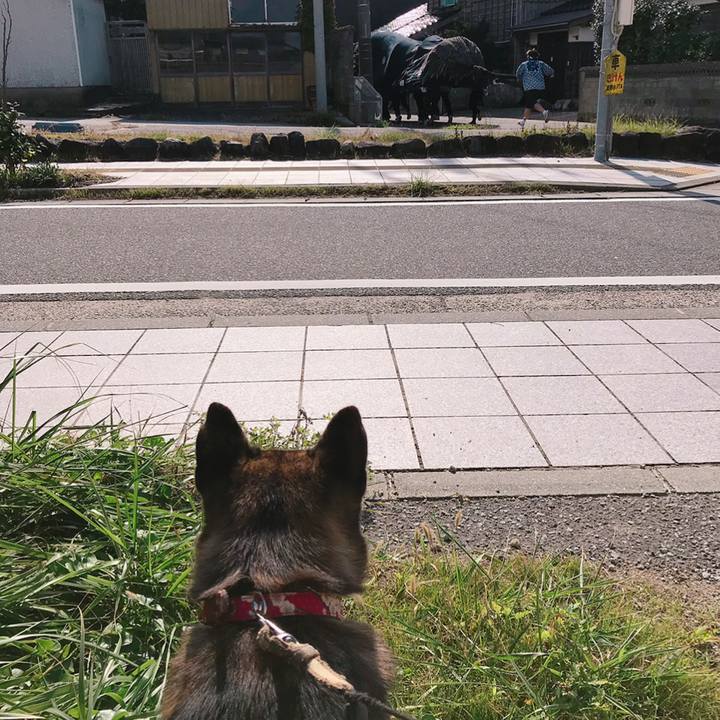 B7a2893f 44aa 4d92 b7cb 2c06513b1b4e 1539665090734