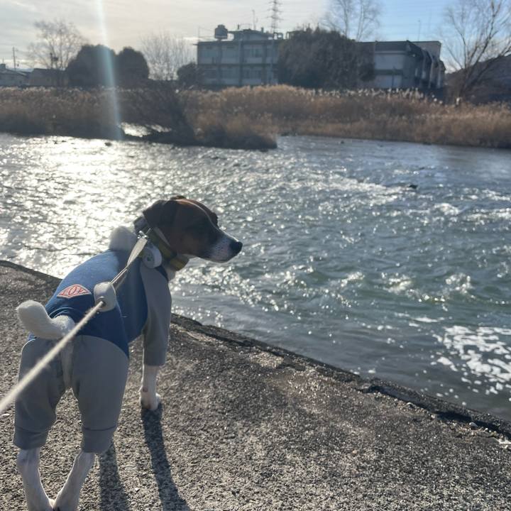 B7a2b8f0 48b7 46c8 91e5 6ced497e25a2 1675869748122