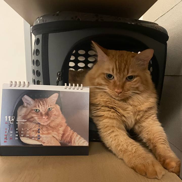 B7a2ba44 367e 4e3b a64f 6dd5db912c71 1762593204918