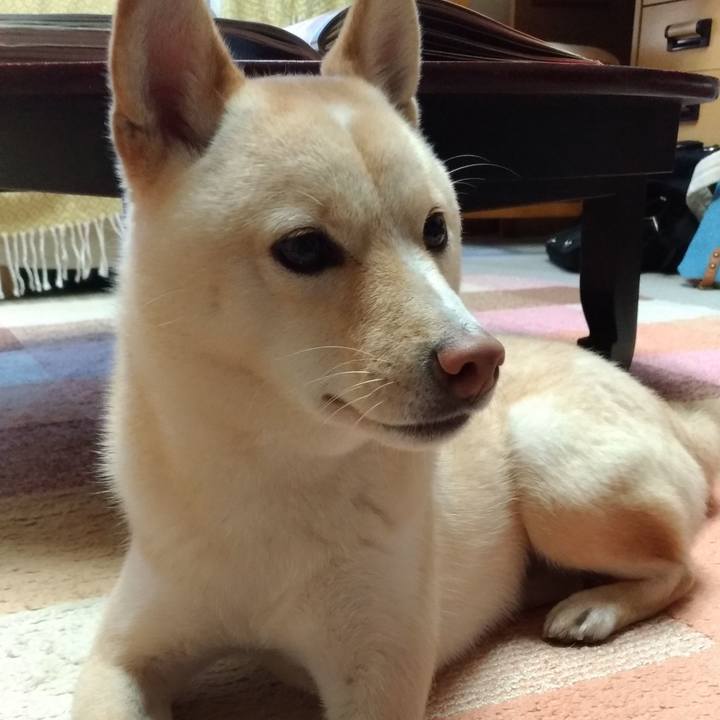 B7a2c9e4 cdbd 47da 86de 7a1f750d9d0e 1545199339696