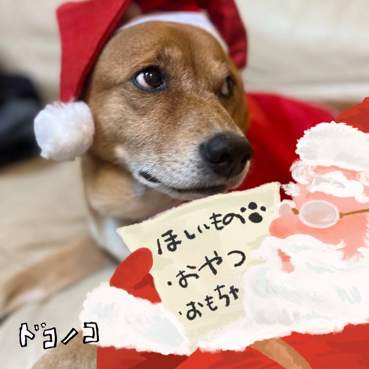 B7a309ad a4d3 425f 8853 890188f97ff1 1730342949637