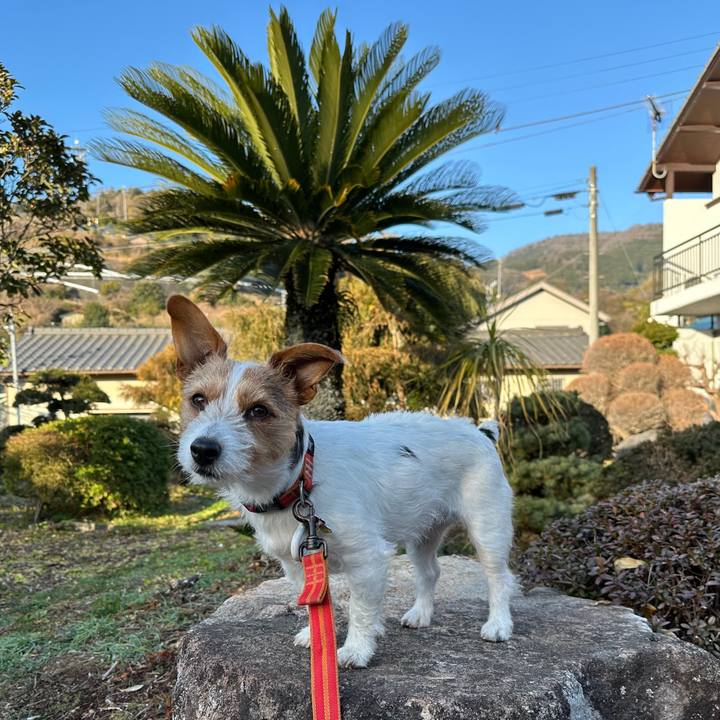 B7a34fc6 ad20 4865 ad1e 0900e3b37762 1771632574653