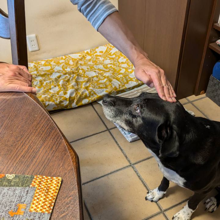 B7a37117 fd52 4b8b b6fa 84d166719d16 1728959019138