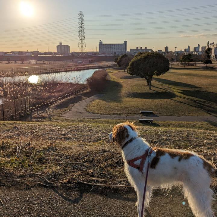 B7a3f119 fc2e 4551 b5eb 7f2f47acf5b9 1675155825902