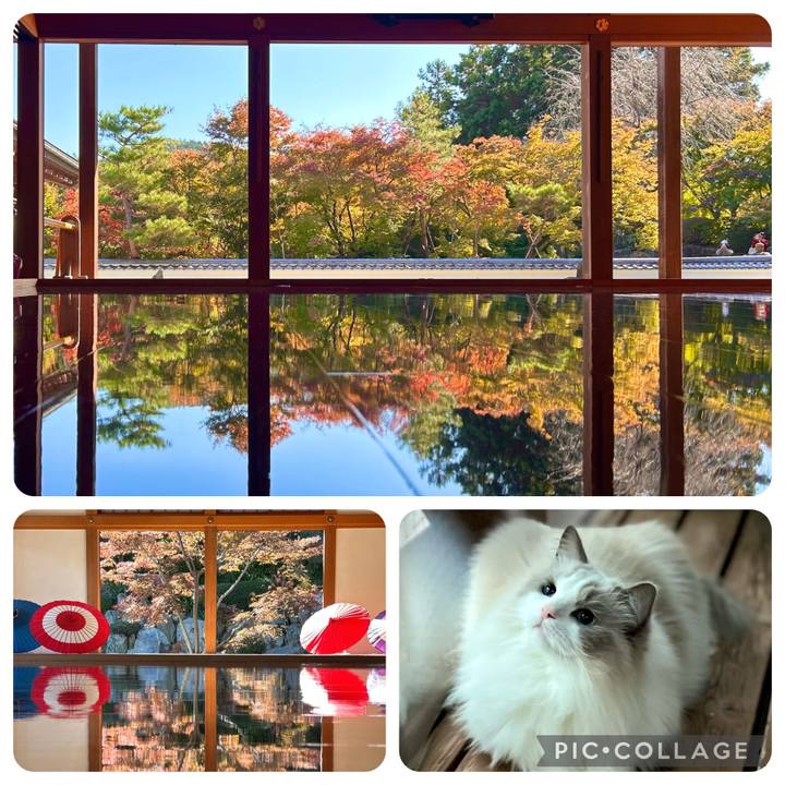 B7a3f604 5fd5 456c a260 d86a66b27228 1701028461471