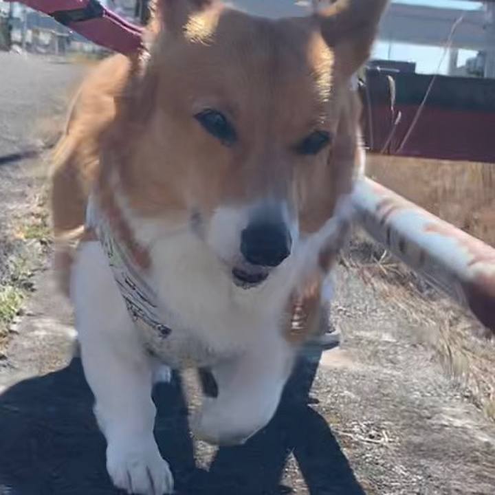 B7a4069d 7e04 4603 a7c3 f48a6bcb274f 1676523234787