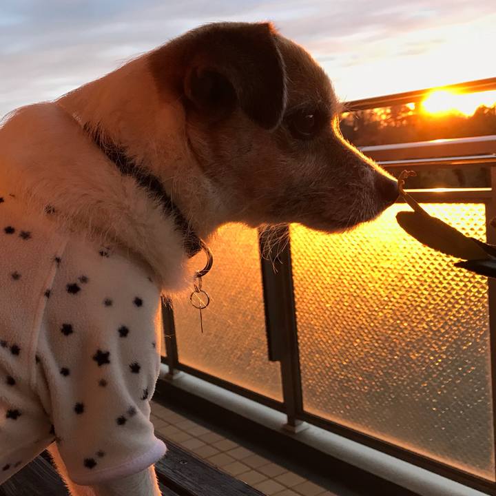 B7a42727 a518 4698 9c75 2cb6190a4b34 1543970040976