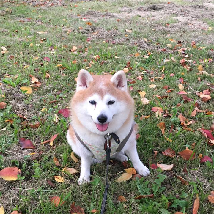 B7a42c35 23e8 4ab4 970f e46ac66410c7 1604530750236