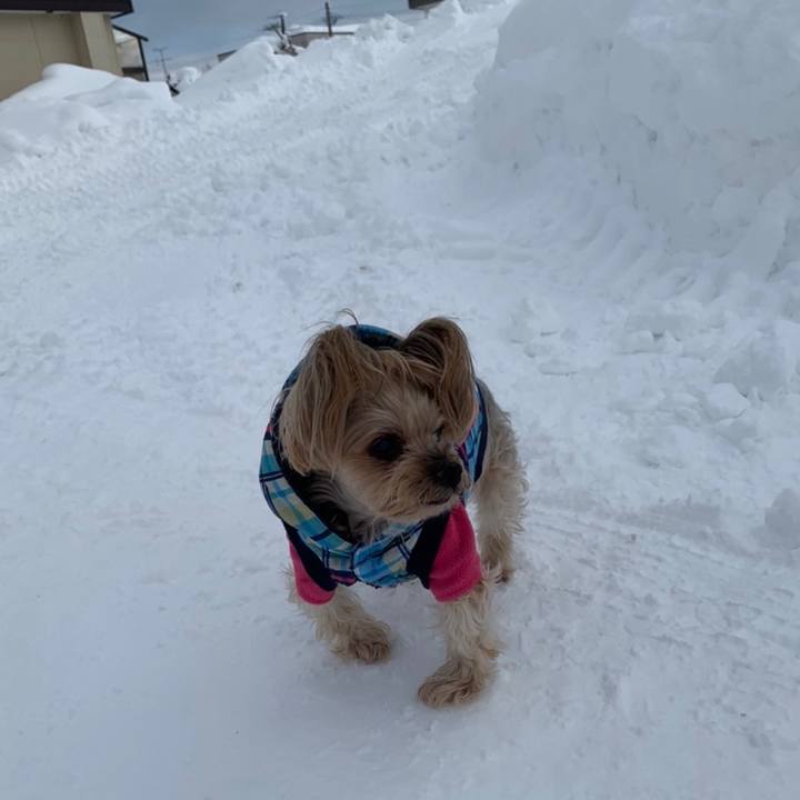 B7a45738 72c5 40e3 b8a6 7ee1c414f674 1674813313083