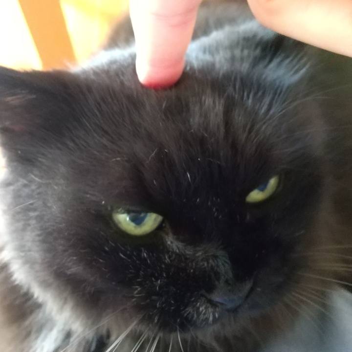 B7a45d31 ea23 41c1 b018 fef3f272f31b 1659148567326