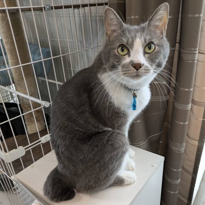 B7a486bf e74f 449b 8238 9439d47175f4 1754726990550