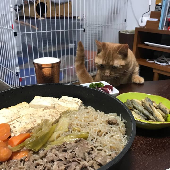 B7a4956c 7d05 4720 ad98 a6d786030c33 1526475177199