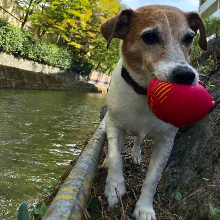 B7a4dbec 7515 4061 b792 ea5be0925c1c 1534925072304