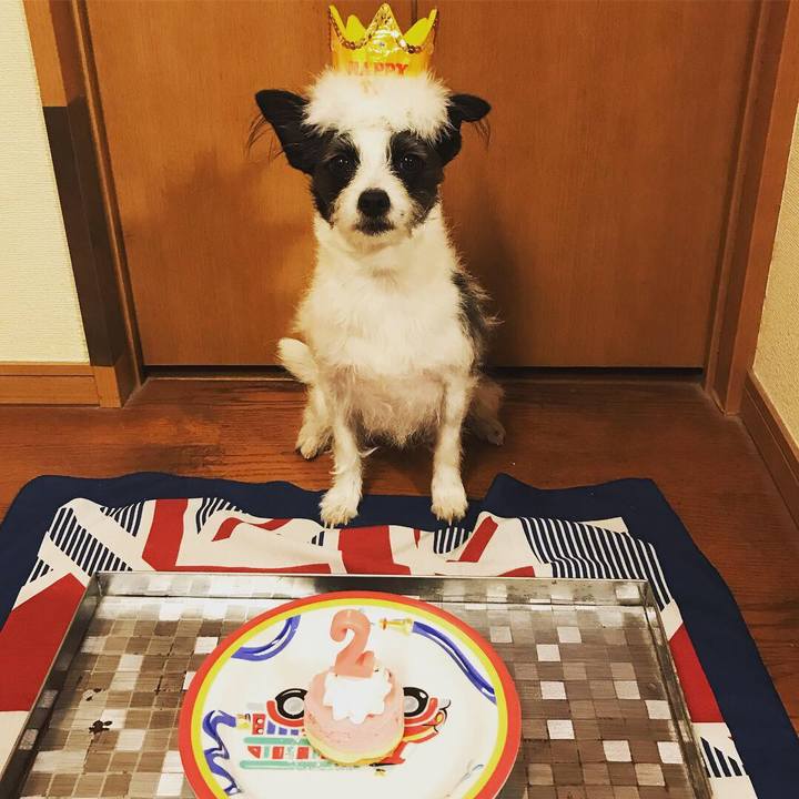 B7a4e6fc 74da 4fde 8f28 6bf00826b5d1 1551100147400