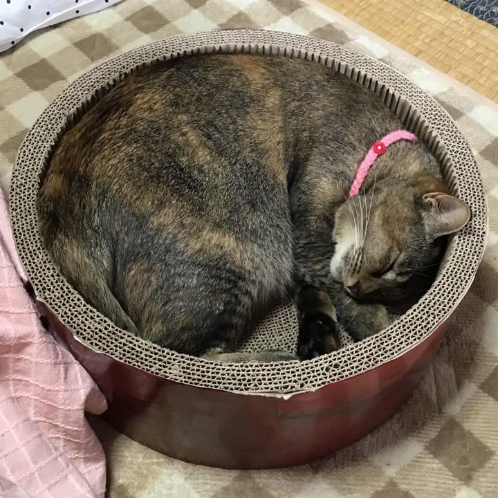 B7a511d9 efc0 4028 90fe 8fb8b35453ed 1605840646030