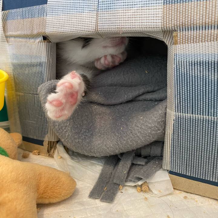 B7a52050 def1 4c58 9911 6e9bfdb12bb8 1652085616009