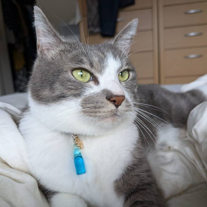 B7a5622f 443e 4fe2 ad6b 302f9148d2e0 1729301267505