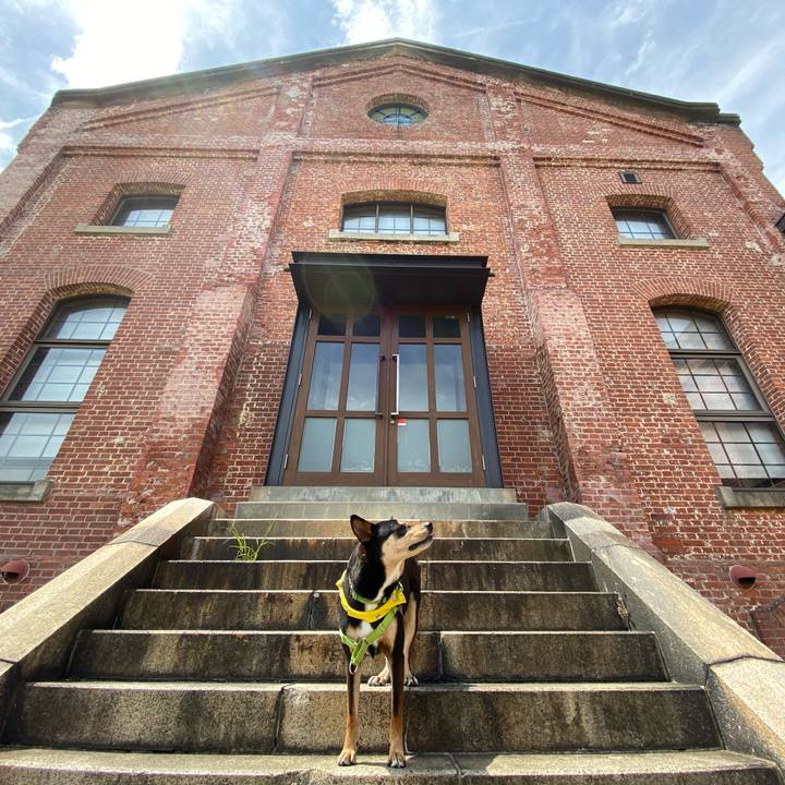 B7a56d06 be14 4611 bcd0 9a0951bfa96e 1592632642877