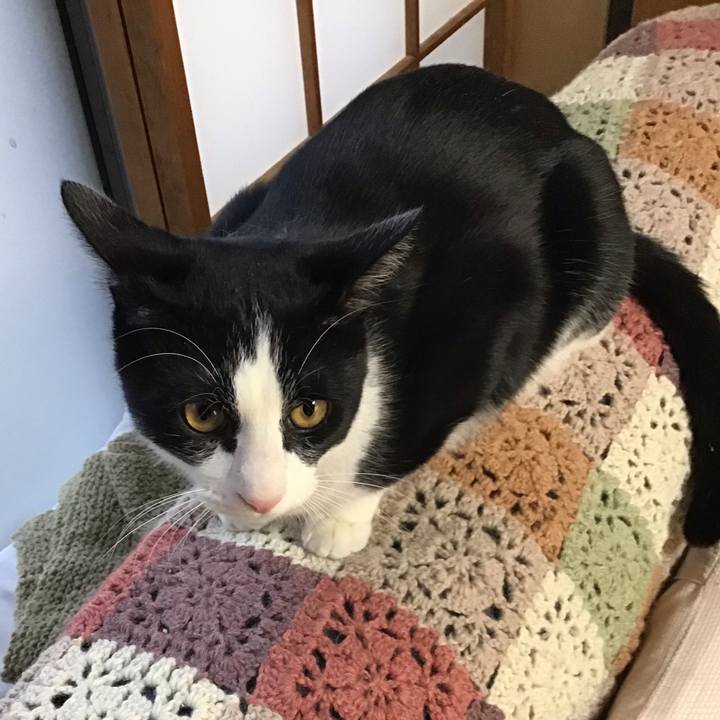 B7a57744 ef18 41ac b8e8 c8ffcc36f896 1643096640725