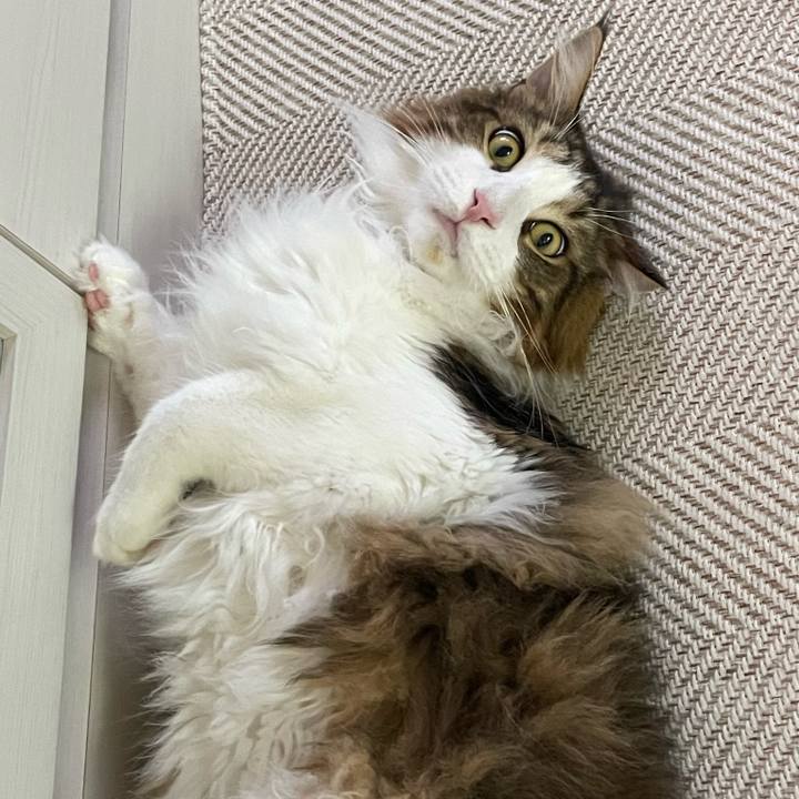 B7a5948b 39e0 43af 8478 c01a13d5efc5 1657353180605