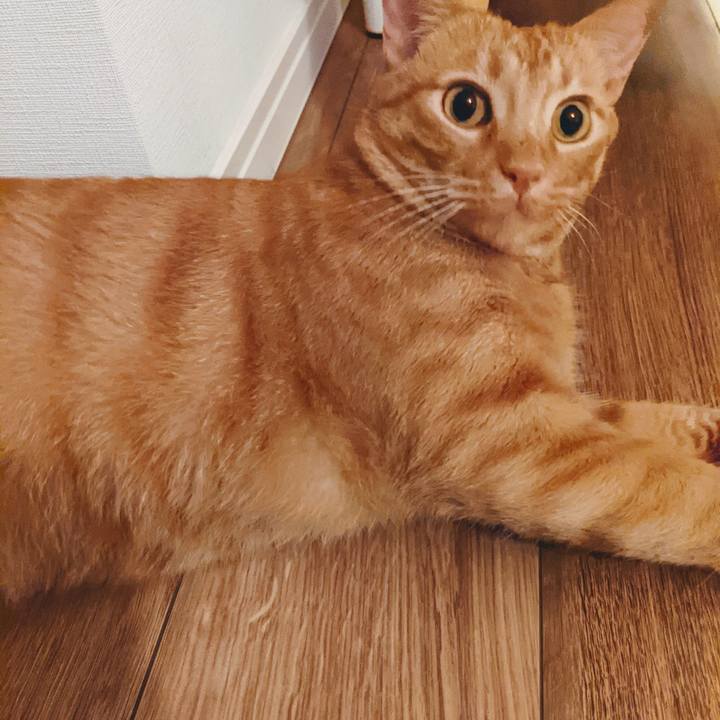 B7a5c69a bd58 46ec afa0 8daf8d0e0a4a 1627907281027