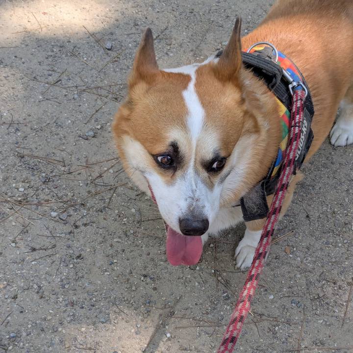 B7a5f6f9 d533 4ba6 a248 b38fde022daf 1753594848017