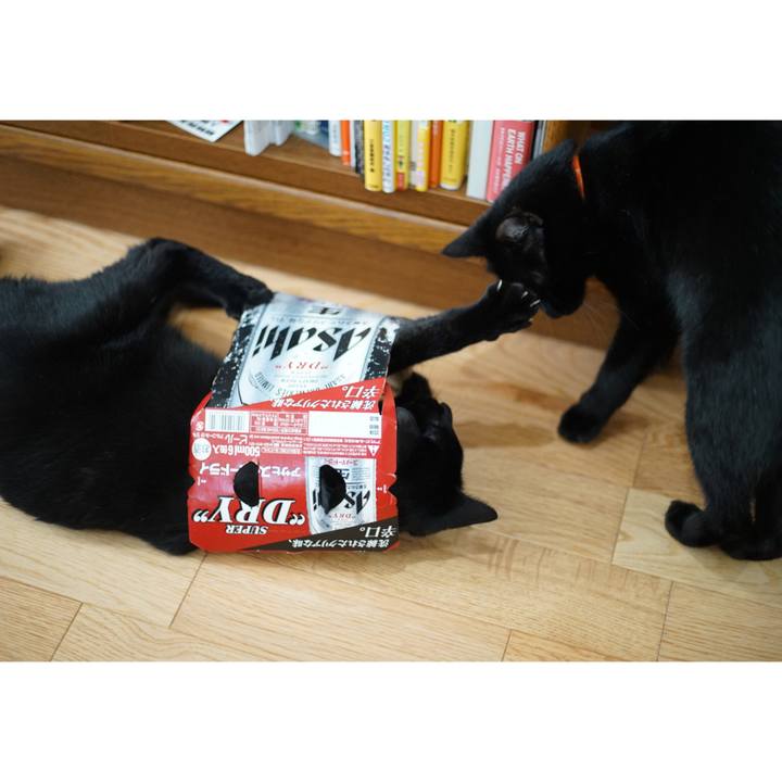 B7a6086a c273 4e6d 9b05 0b93029f6b0c 1524699286279