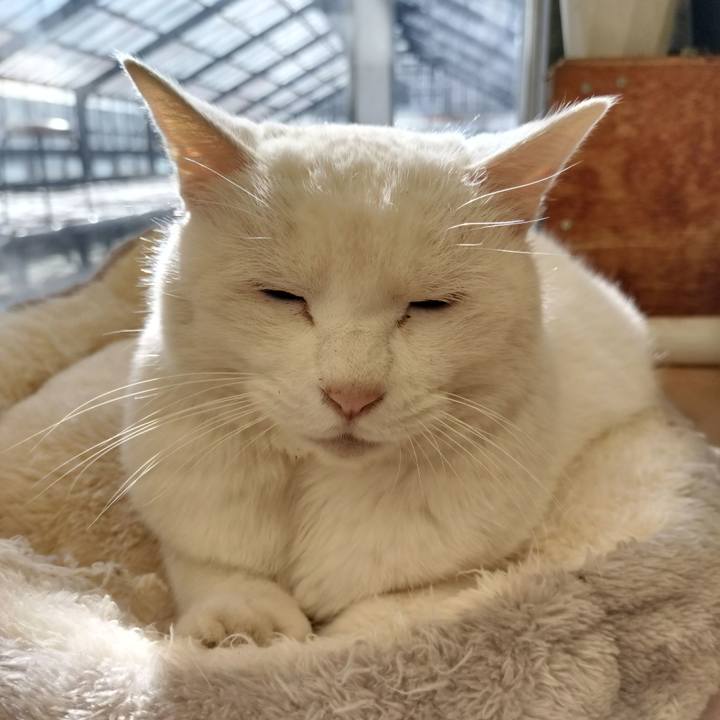 B7a689fd 38a5 4230 a1aa 086f9e04591f 1766720982460