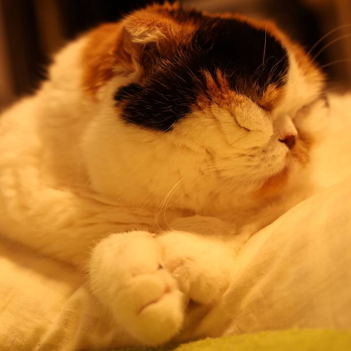 B7a68eee 39b1 462d a9ad 667b2380eab6 1735376272343