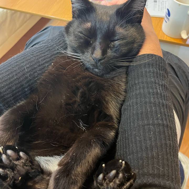 B7a6c6ab d461 46dc 9aba 8fe614b2690d 1673749563981