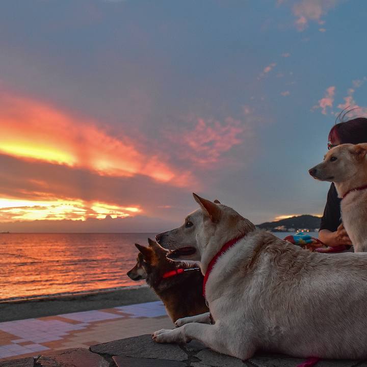 B7a6cfd7 5752 4f8c 9c95 81025177e927 1534088241782