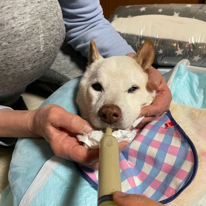 B7a6dd8d 5f02 4f6c bf08 09dafabc1d57 1673254380568