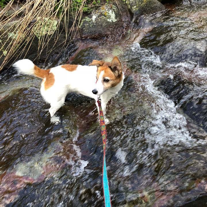 B7a6e967 2ce3 4572 a145 1fc9ab73e15f 1538449984206