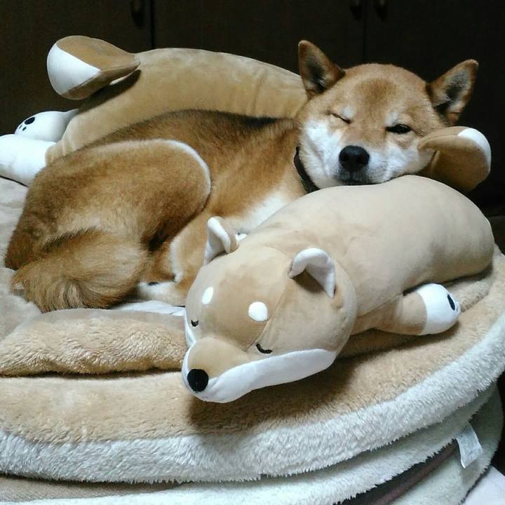 B7a74870 a877 4862 a8fa 1a5507e38579 1523541361572