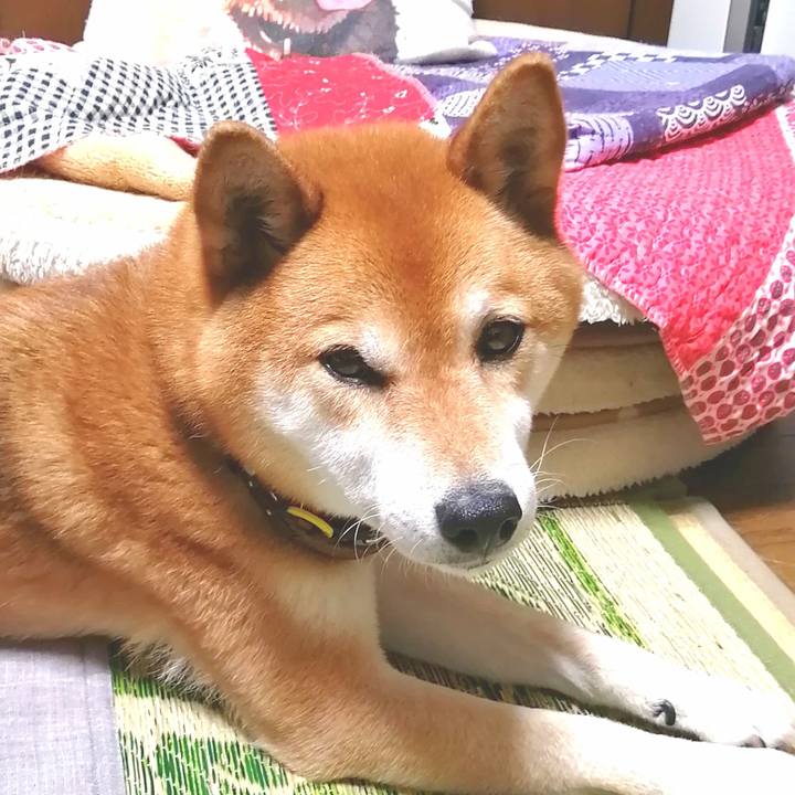 B7a776db c166 4c09 a0a2 e77bcda594a0 1656230637616