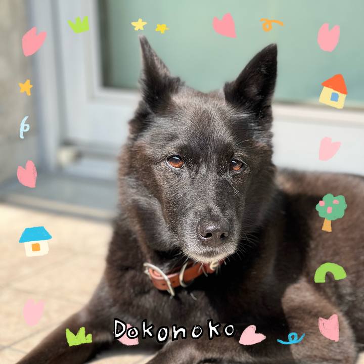 B7a79e91 6f3f 44e0 98e3 3620e7cc6c94 1741651360824