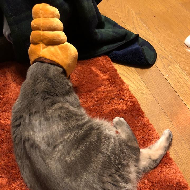 B7a7b4d7 ffb3 4648 8943 c567b19c61ad 1514556096842